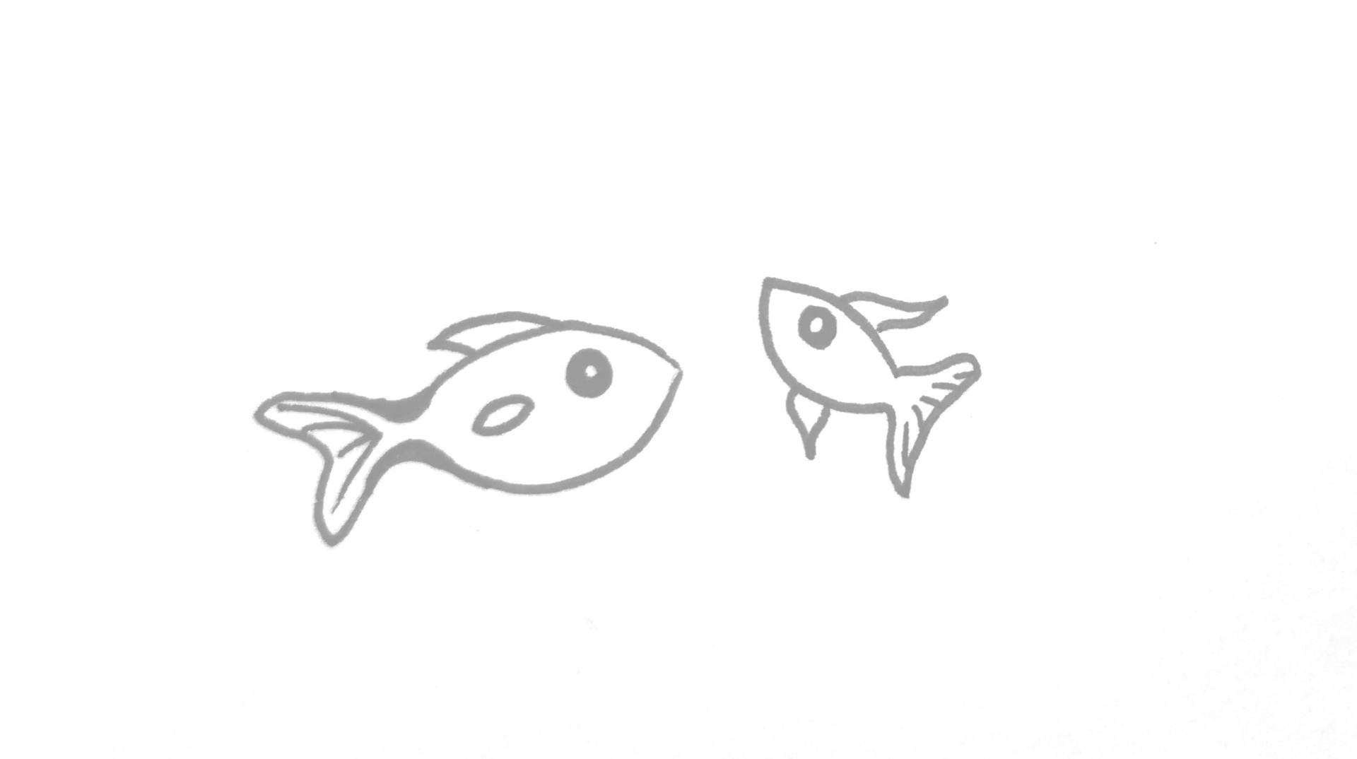 Fisk